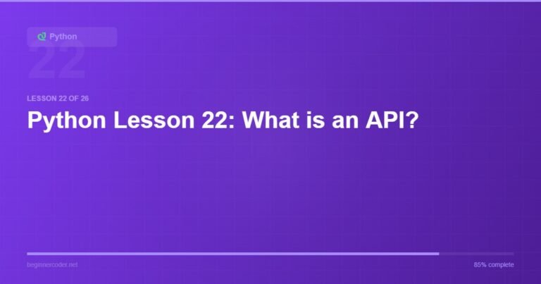 Python Lesson 22: What is an API?